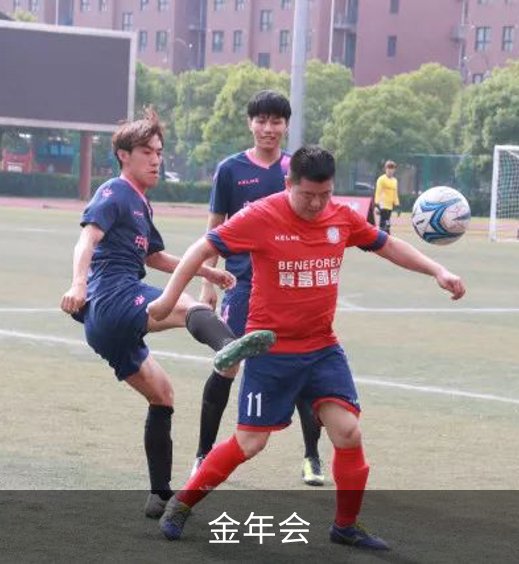 走进金年会